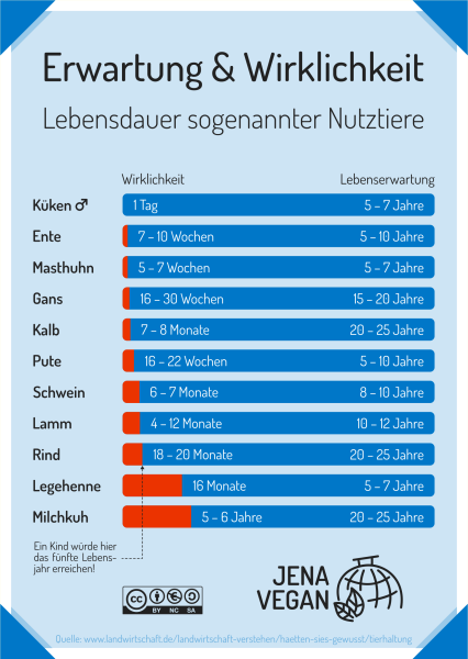 Erwartung & Wirklichkeit - Lebensdauer sogenannter Nutztiere